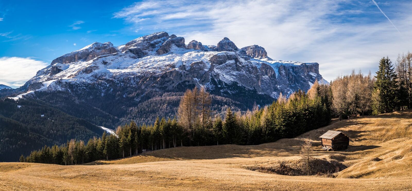 Snow-capped mountains overlook a golden meadow, evoking feelings of mindfulness and wellbeing.