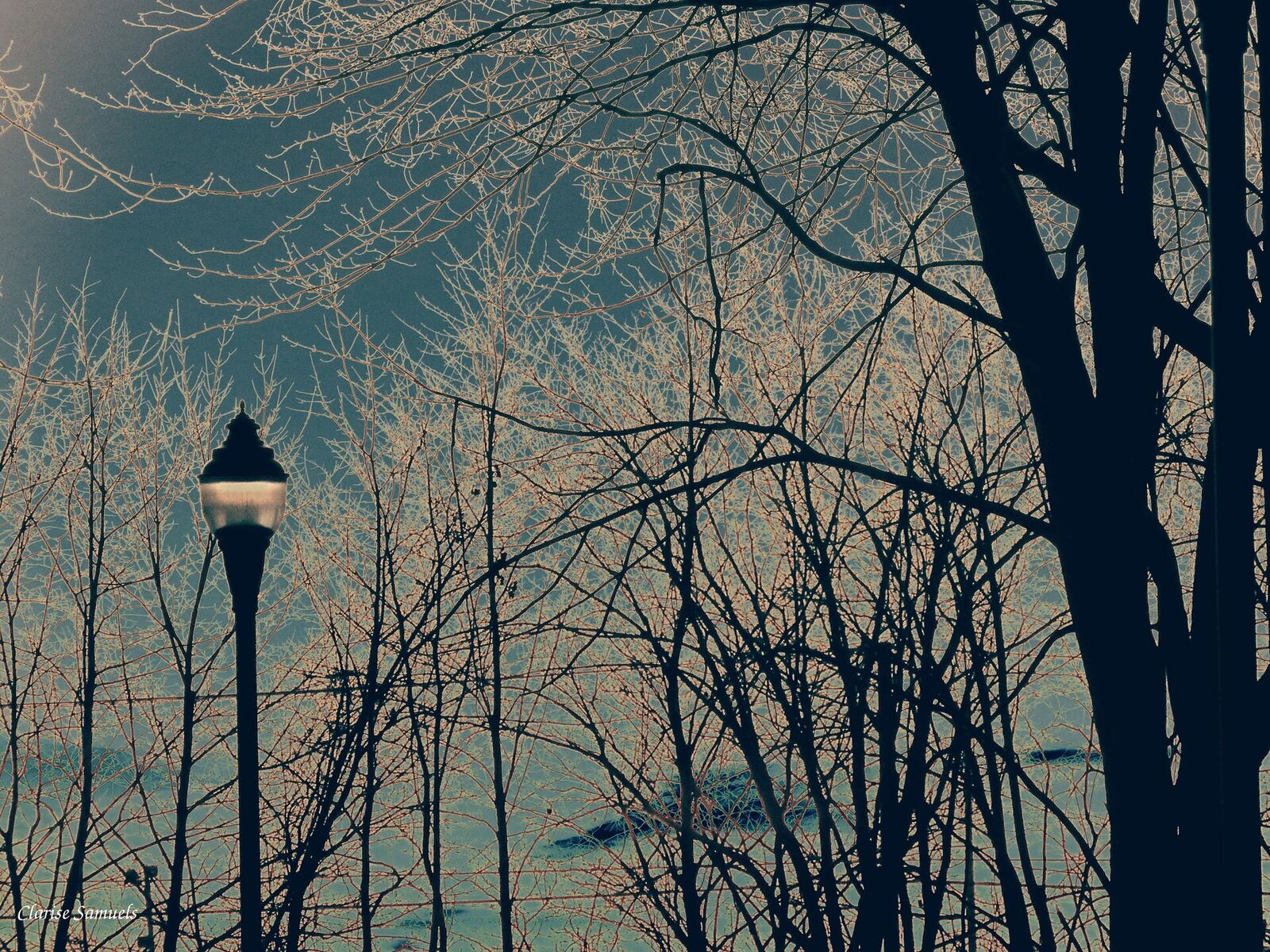 500px provided description: A street lamp lights the way on the path on an evening walk in the park. [#park ,#sky ,#landscape ,#forest ,#sunset ,#winter ,#night ,#tree ,#beautiful ,#snow ,#evening ,#peaceful ,#outdoors ,#street lamp ,#solitude ,#tranquility ,#stroll ,#Montreal]
